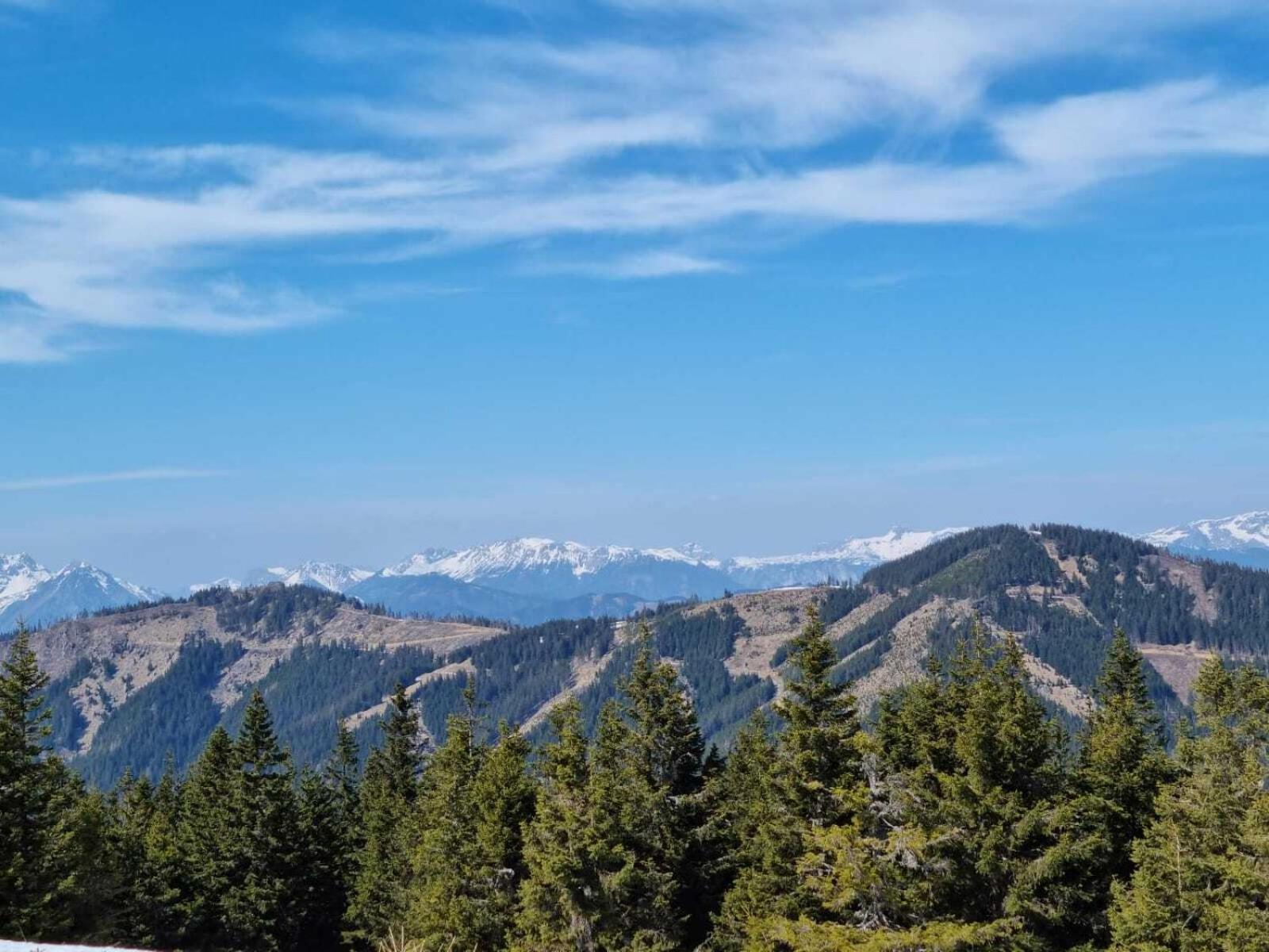 Apartments Am Kirchkogel "Laendliche Entspannung Im Herzen Der Steiermark" Pernegg an der Mur Bilik gambar