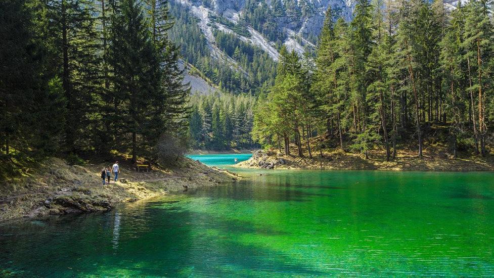 Apartments Am Kirchkogel "Laendliche Entspannung Im Herzen Der Steiermark" Pernegg an der Mur Bilik gambar